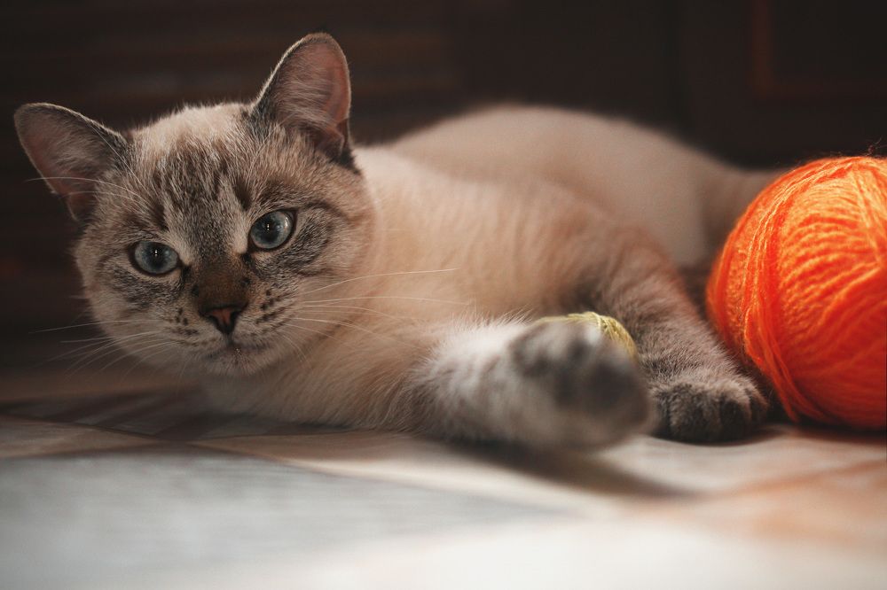 Photograph by Надежда Максимова