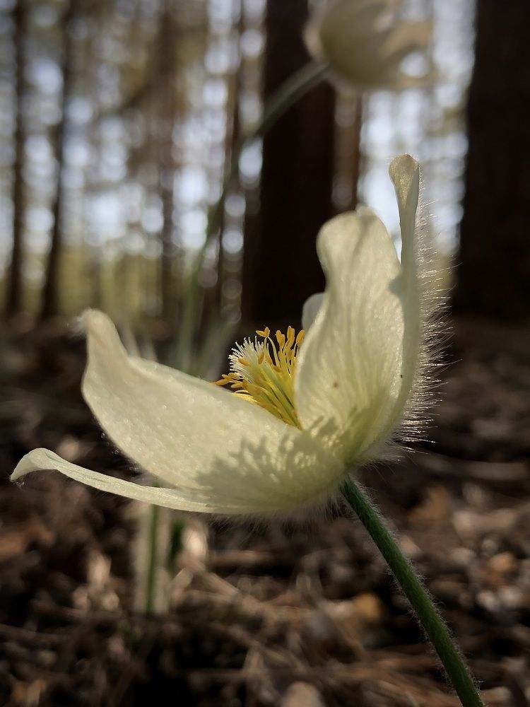 Фотография автора Евгения Елисеева