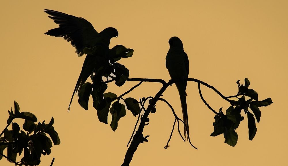 Фотография автора Mohammad sajd Abo abrahemm