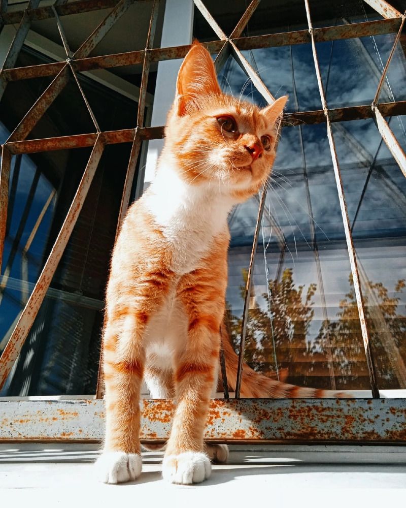 Photograph by Марина Гусева