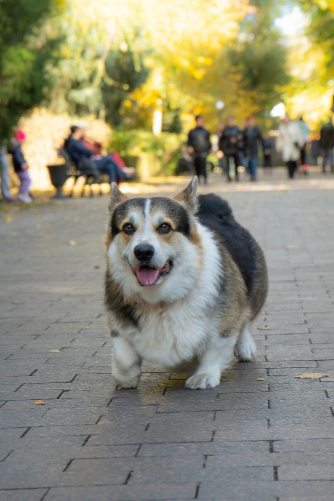 Photograph by Владимир Кабалоев