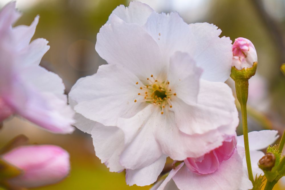 Photograph by Татьяна Сурова