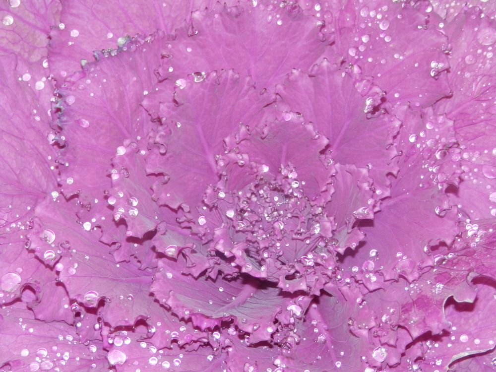 Photograph by Георгий Салюков