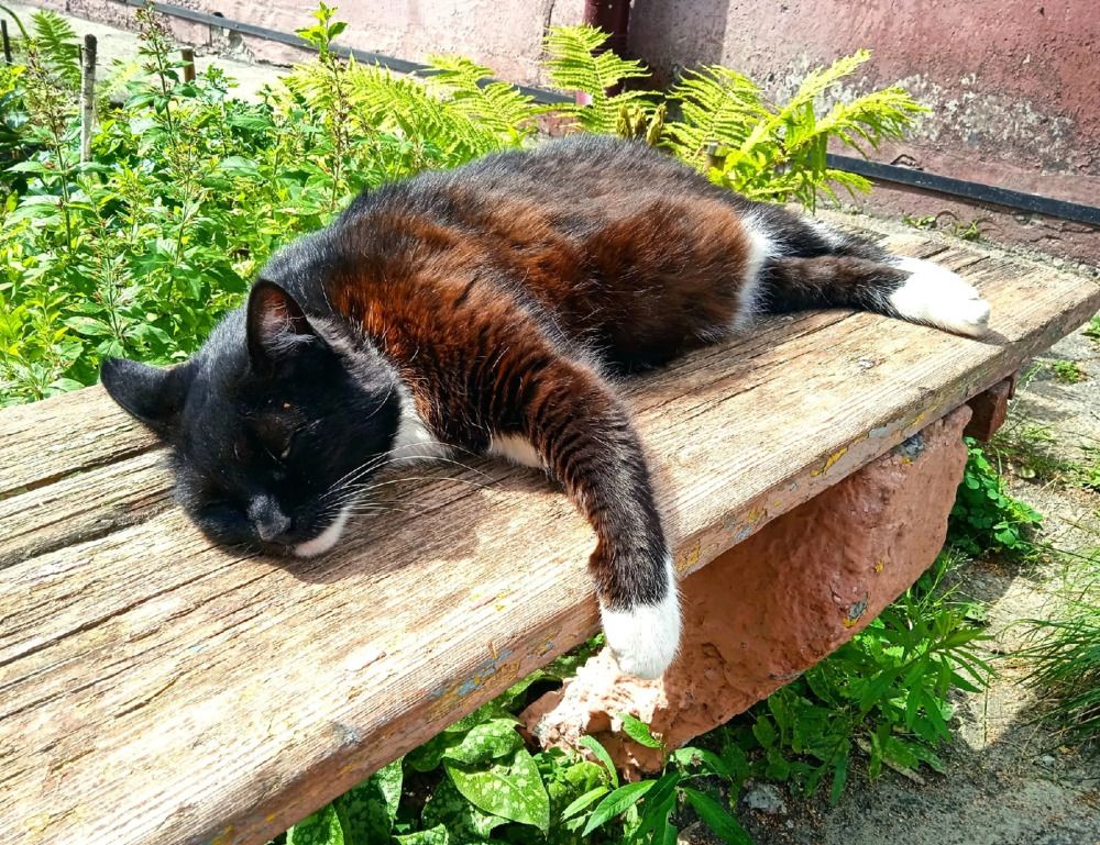 Photograph by Марина Гусева