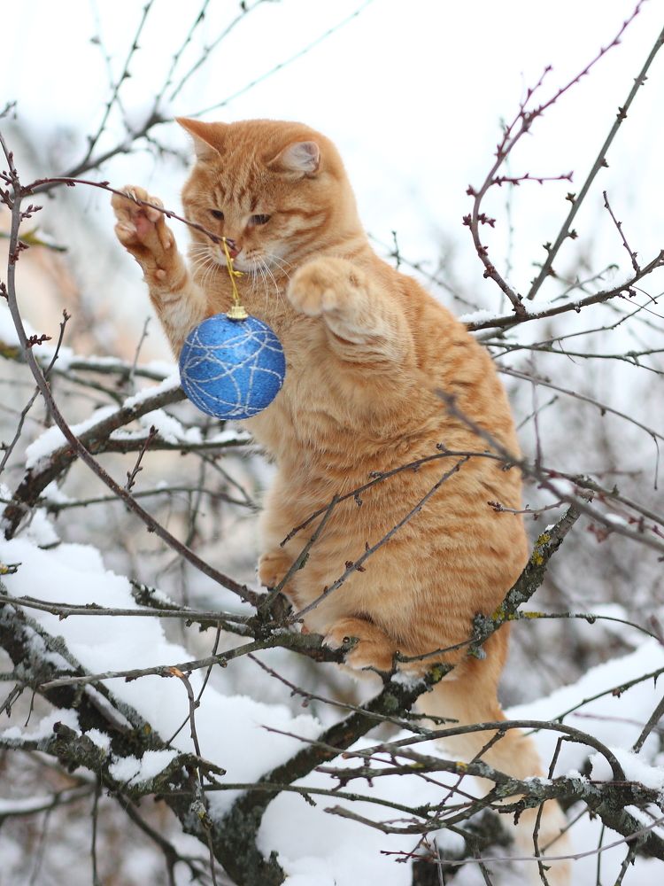 Photograph by Alexander Popoff