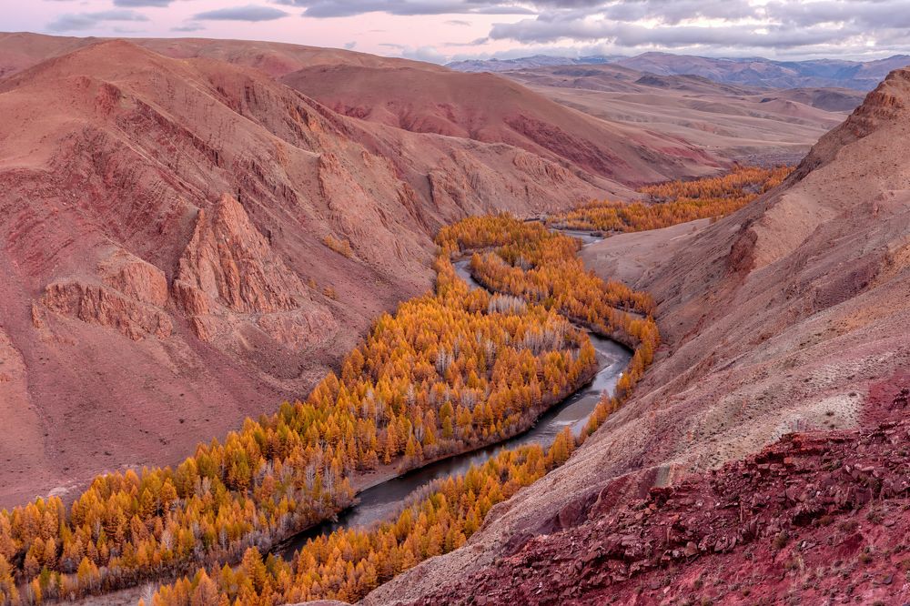 Photograph by Анастасия Калинцева