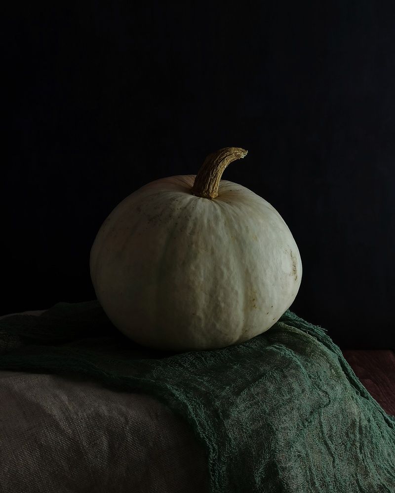 Photograph by Елена Черняк