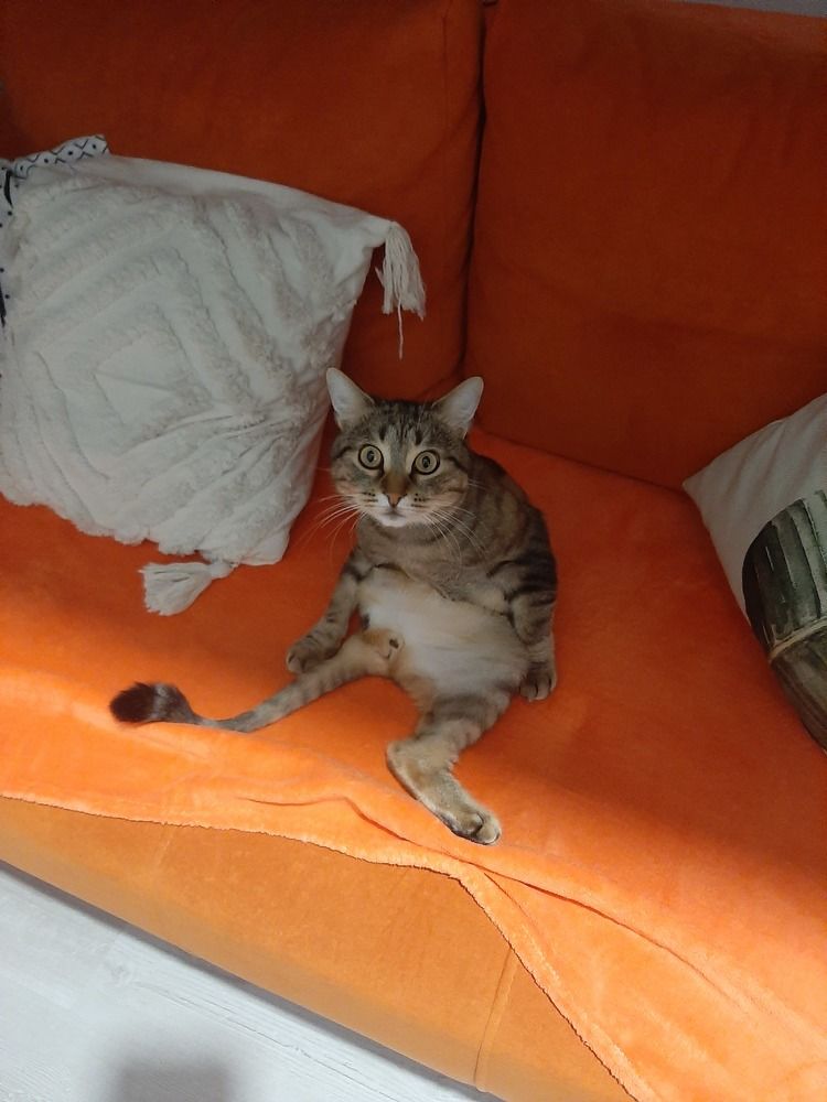 Photograph by Игорь Чечин