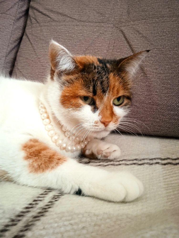 Photograph by Марина Гусева