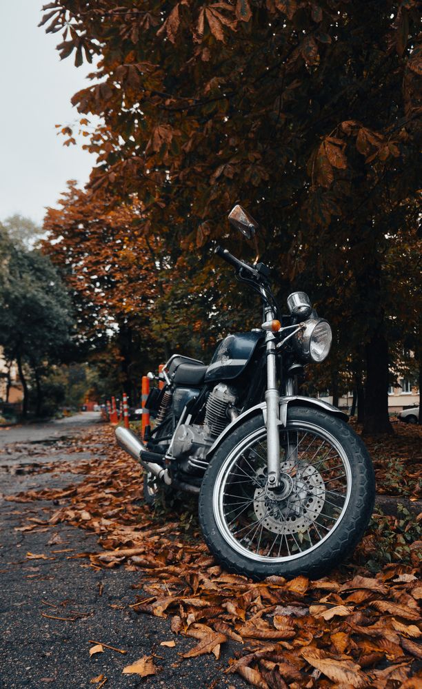 Фотография автора Геннадий Ломеко