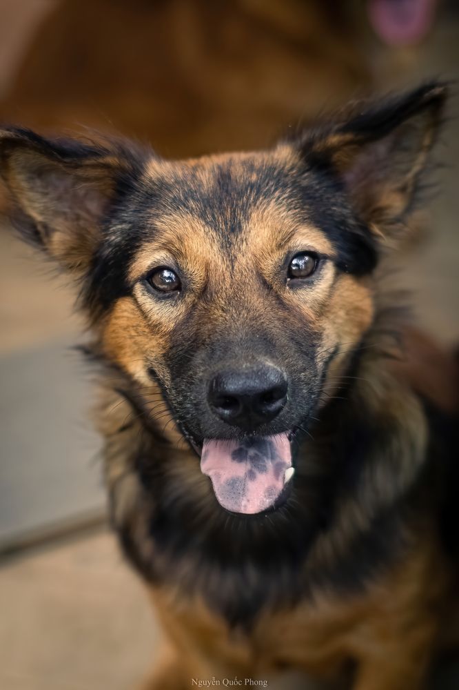 Photograph by Phong Nguyen