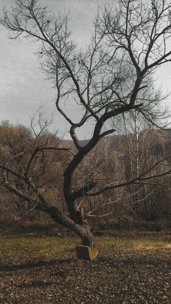 Photograph by Ali Rashtbari