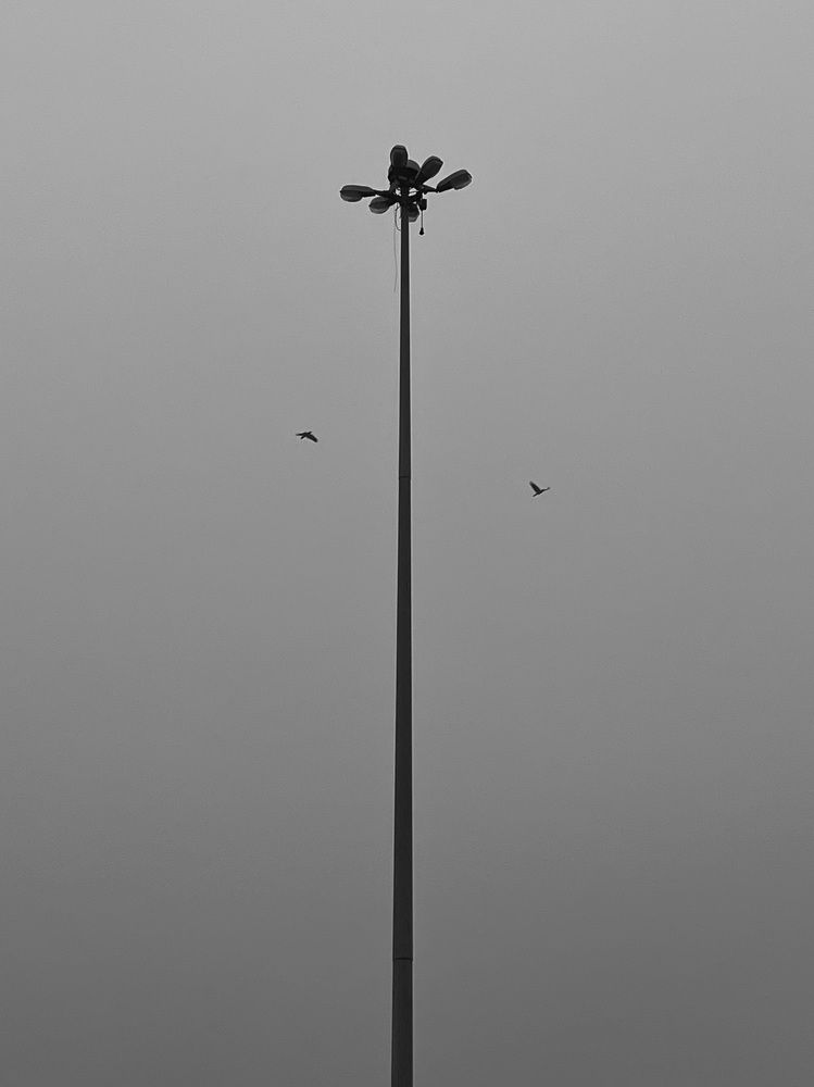 Photograph by Дмитрий Дутов