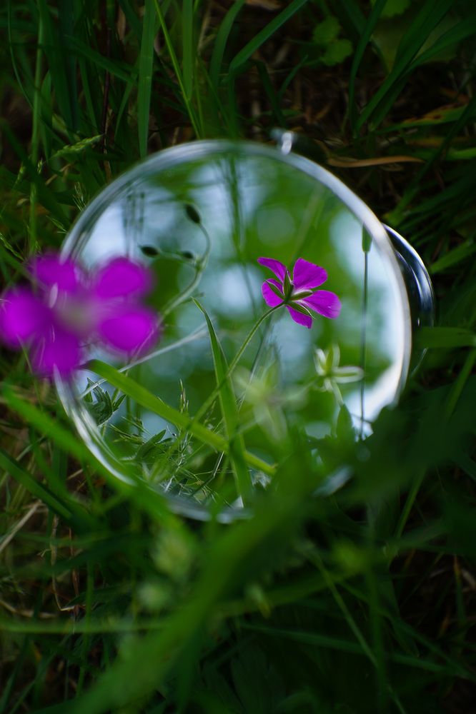 Photograph by Татьяна Бойцова
