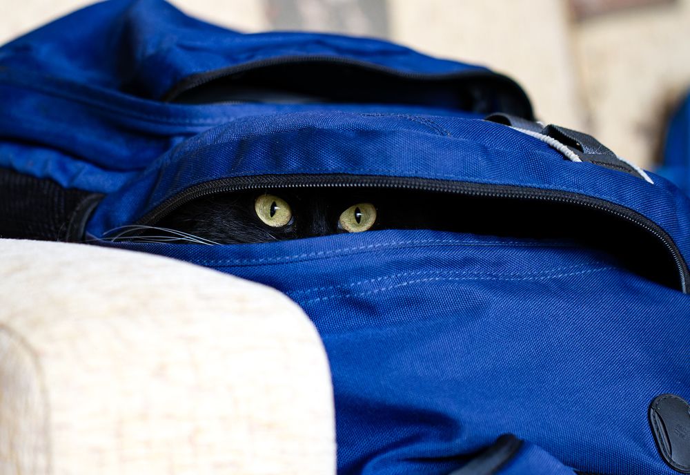 Photograph by Павлов Дмитрий