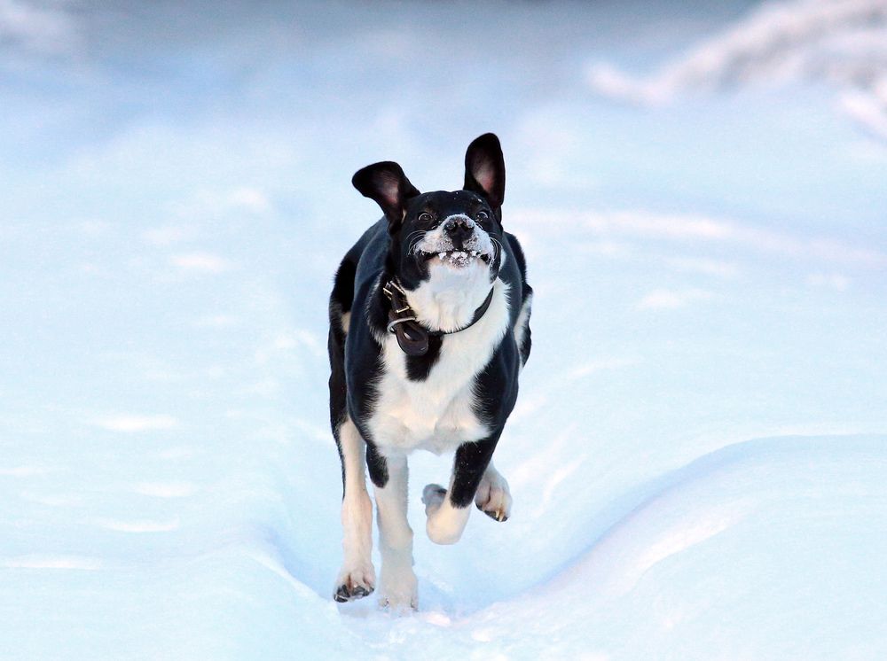 Photograph by Павлов Дмитрий