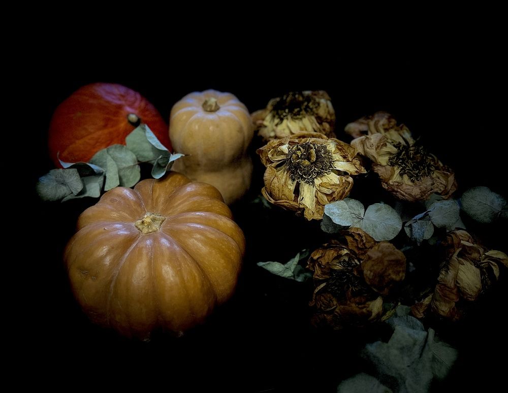 Photograph by Елена Посохина