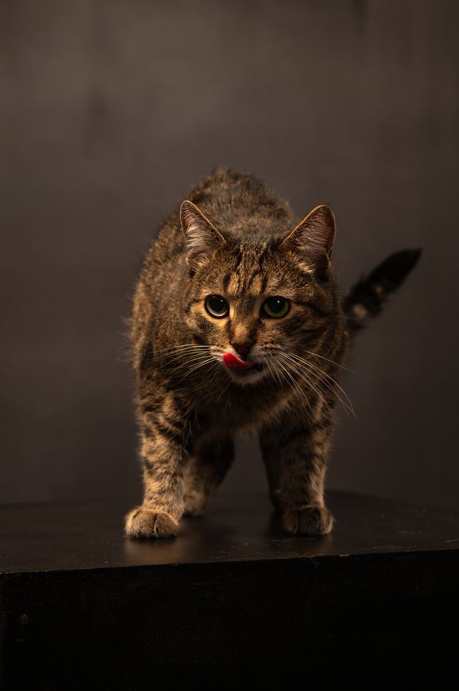 Photograph by Ирина Мошковская