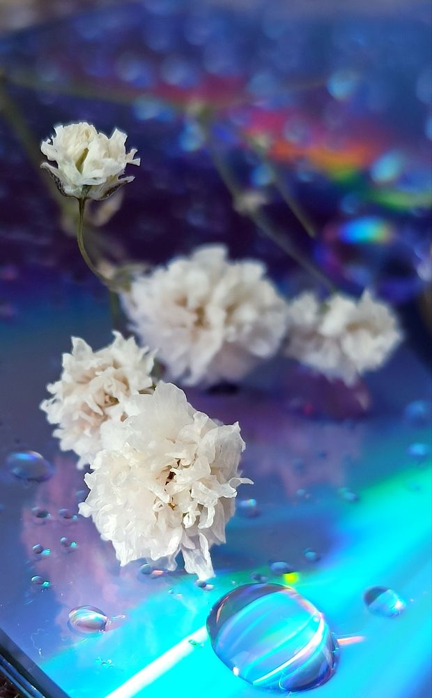 Photograph by Елена Кадаева