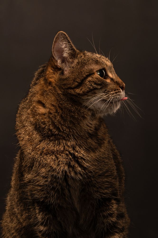 Photograph by Ирина Мошковская