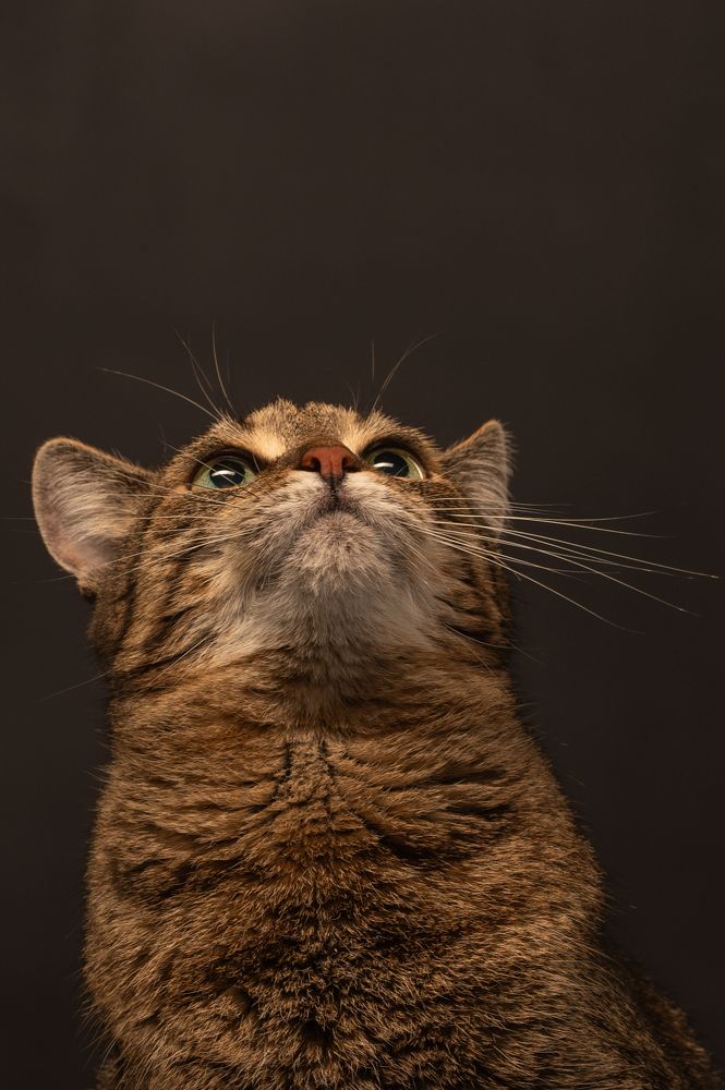 Photograph by Ирина Мошковская