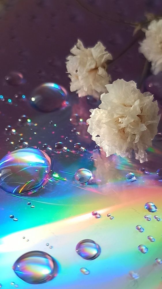 Photograph by Елена Кадаева