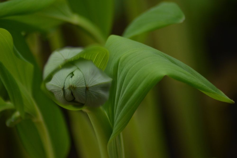 Photograph by Ольга Заповедная
