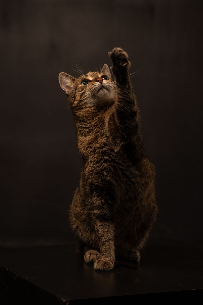 Photograph by Ирина Мошковская