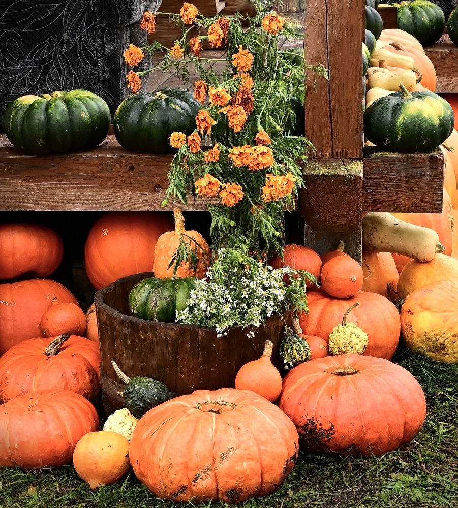 Photograph by Balcetis Audrius