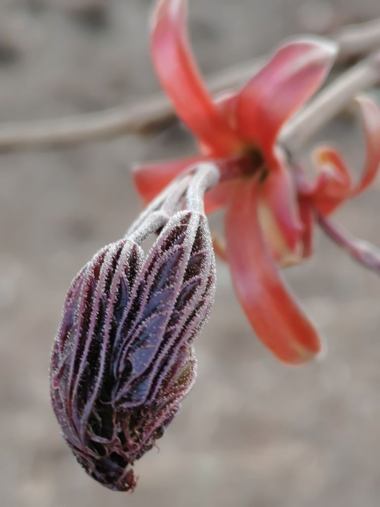 Photograph by Юлия