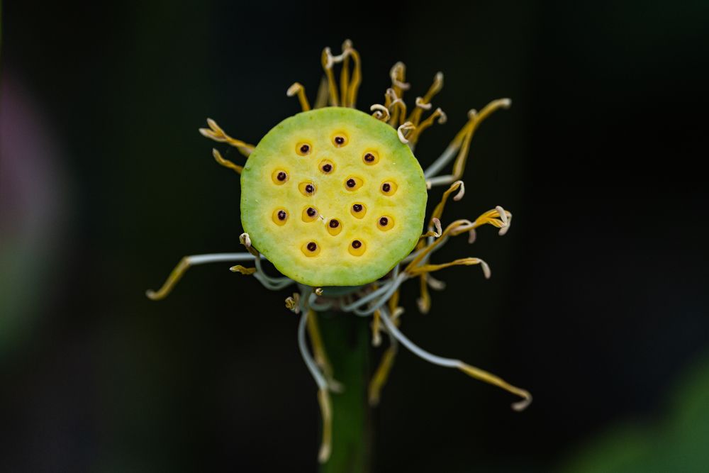 Photograph by Полякова Наталия