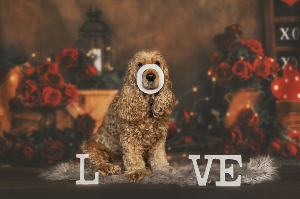 Photograph by Sara Pinotti