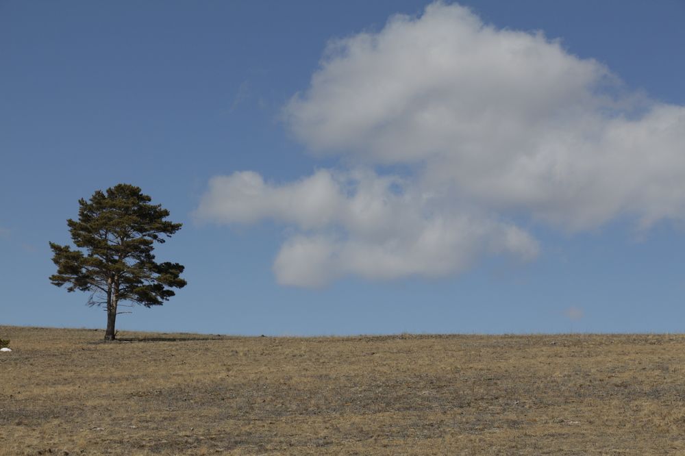 Photograph by Дмитрий Хохуля