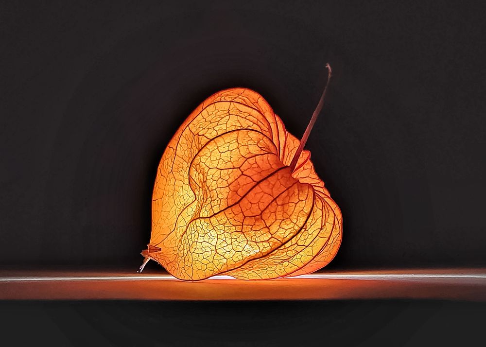 Photograph by Елена Гусева