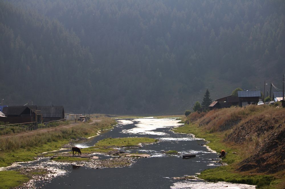 Photograph by Полина Зайцева