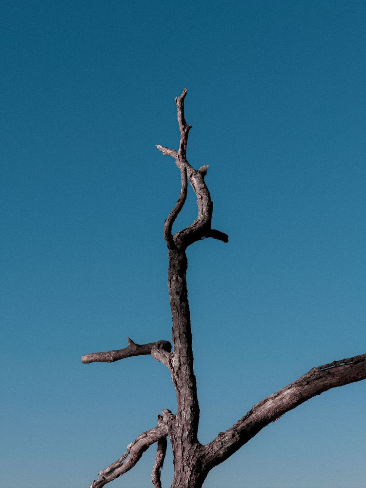 Photograph by Denis Trushtin