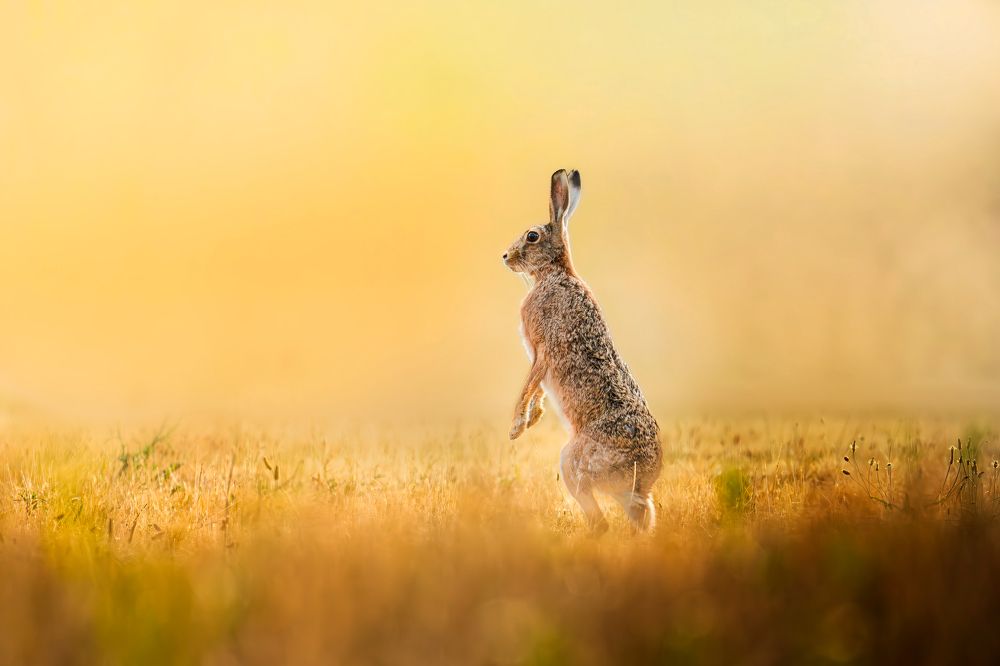 Photograph by Nikolay Suvorov