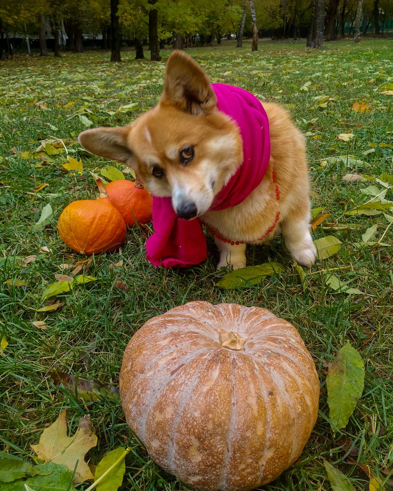 Photograph by Наталья Балабанова