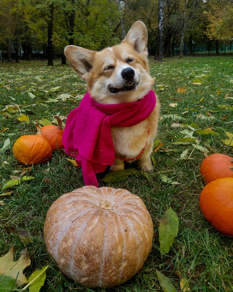 Photograph by Наталья Балабанова