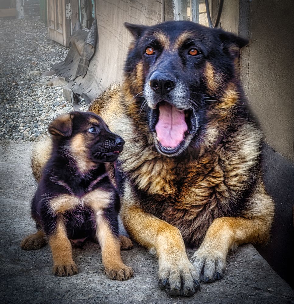 Photograph by Владимир Кваша