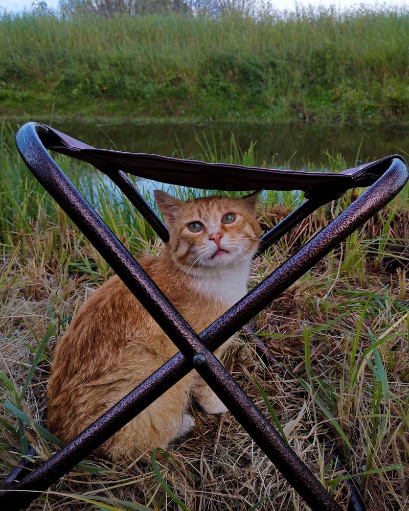 Photograph by Наталья Балабанова