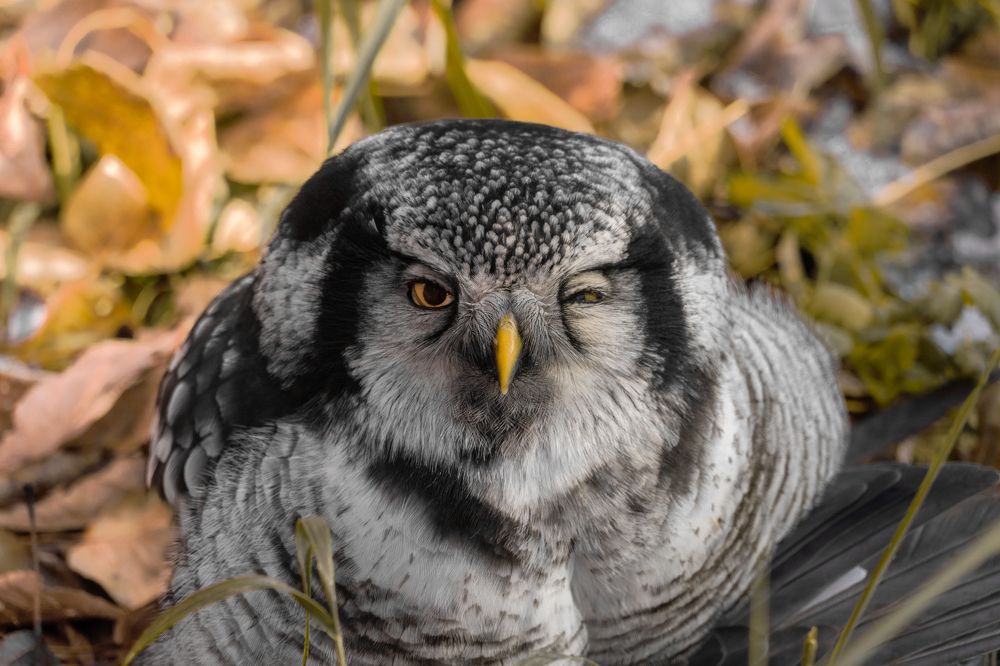 Photograph by Высотских Владимир