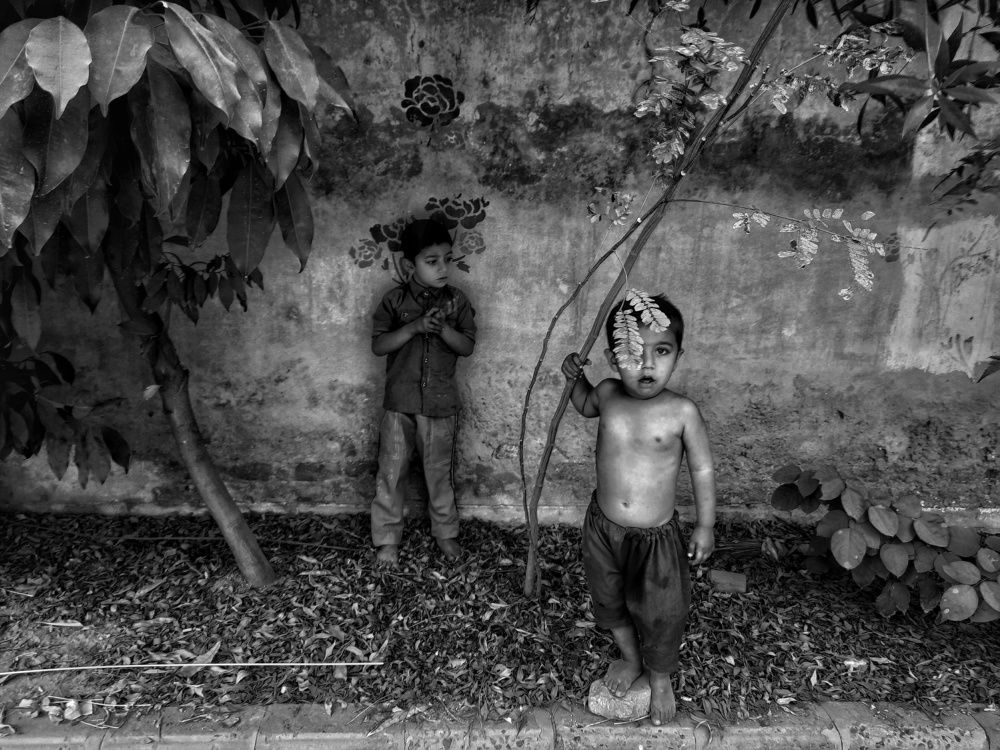 Photograph by Muhammad Sajawal Fareed