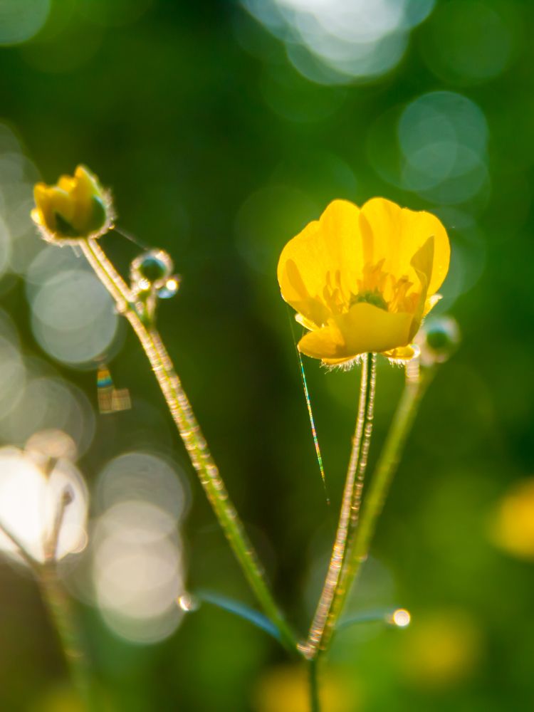 Photograph by Ольга Заповедная