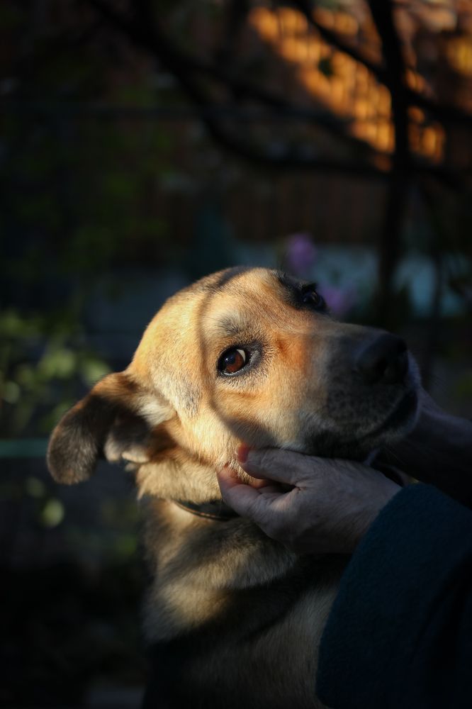 Photograph by Константин Павленко