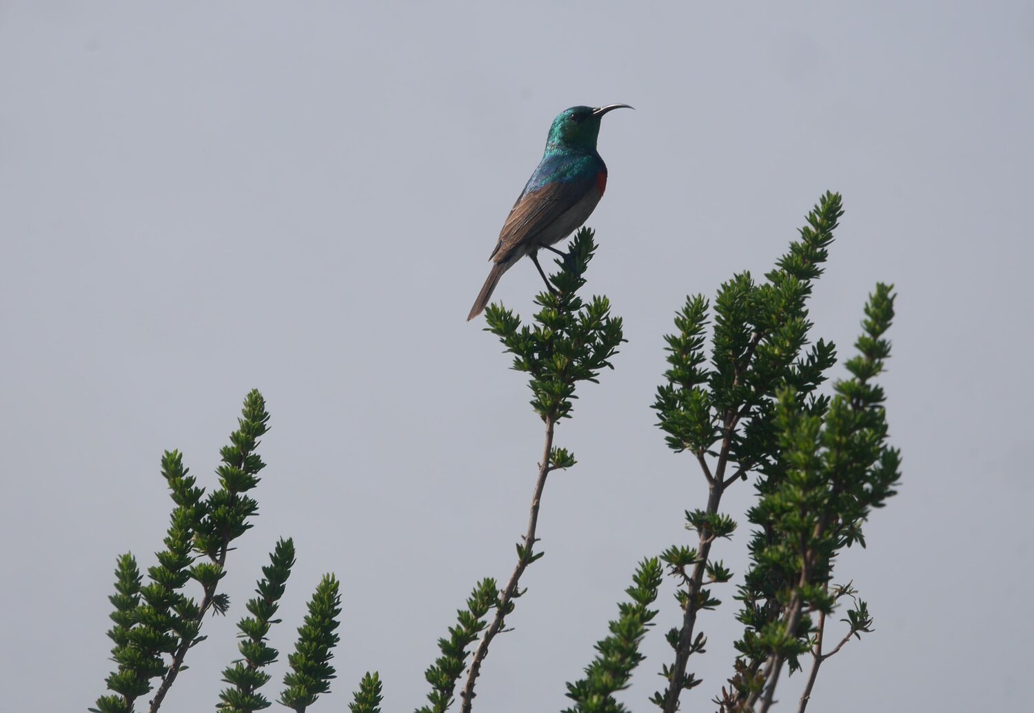 Photo #9780157