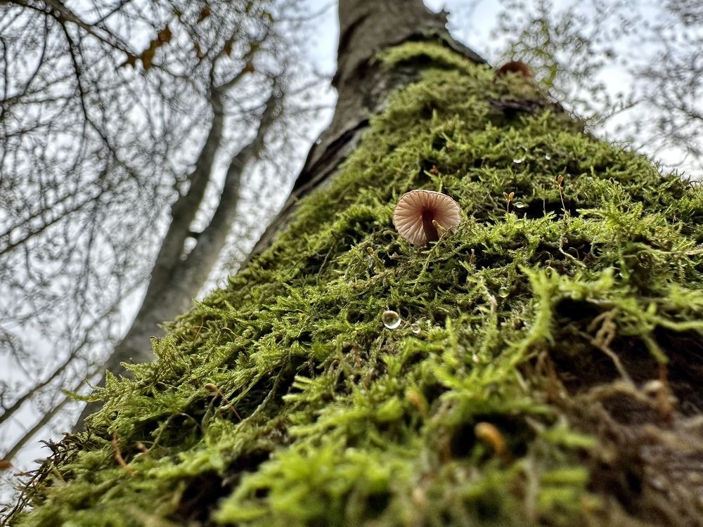 Photograph by Evgenia Barinova