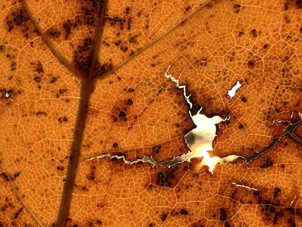 Photograph by Evgenia Barinova