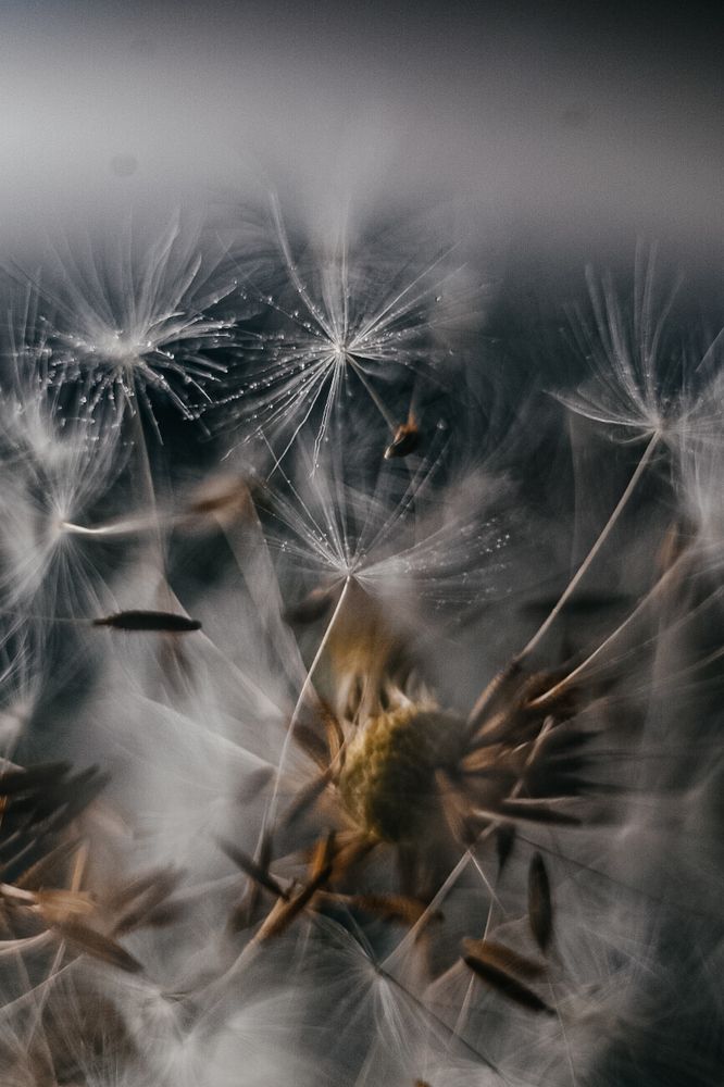 Фотография автора Воробьёва Анна