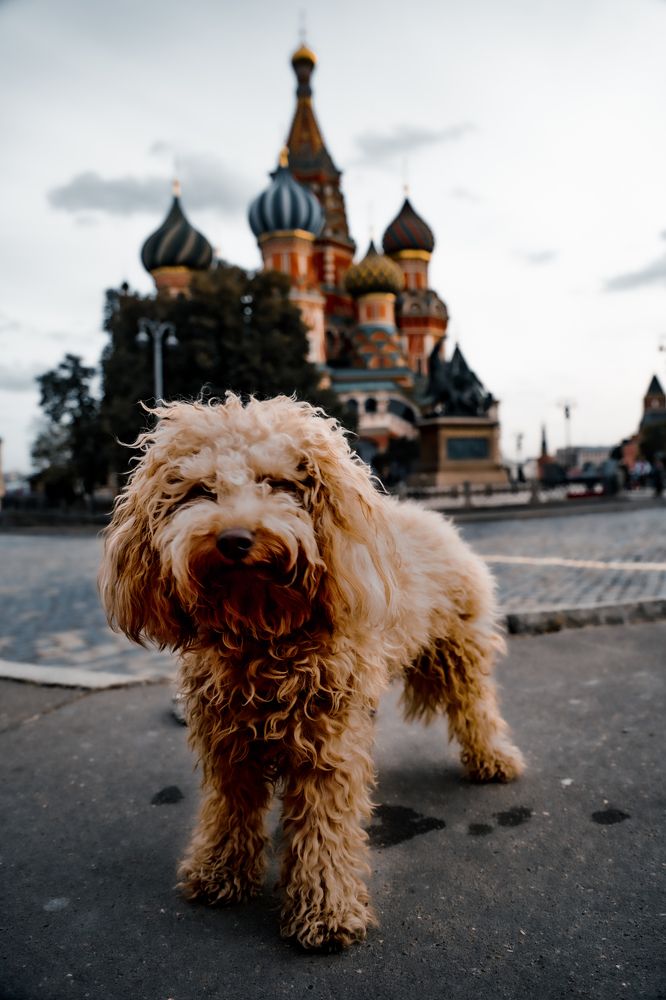 Photograph by Юрий Гаврилов